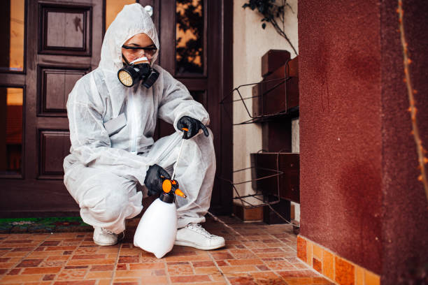 Attic and Crawl Space Rodent Treatment in Twain Harte
