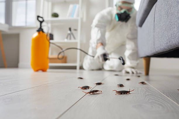 Commercial Rodent Management in Twain Harte